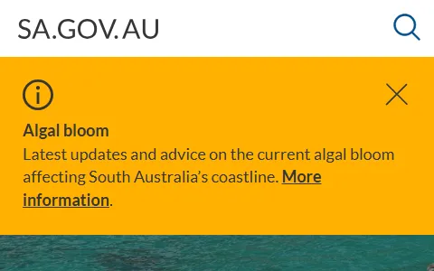 South Australian Government status preview image