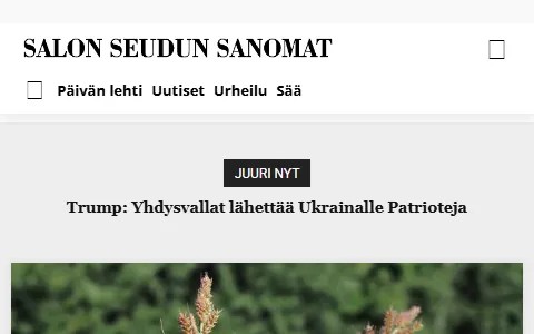 Päivän Lehti status preview image