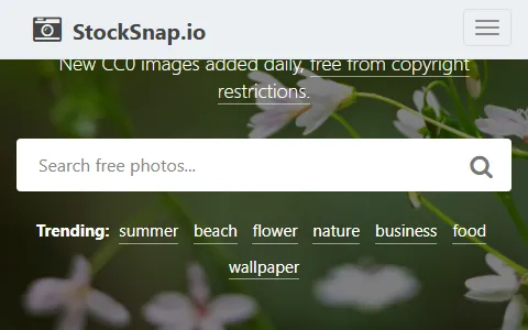 StockSnap status preview image