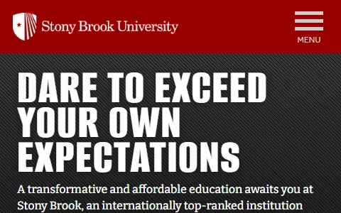 Stonybrook.edu status preview image