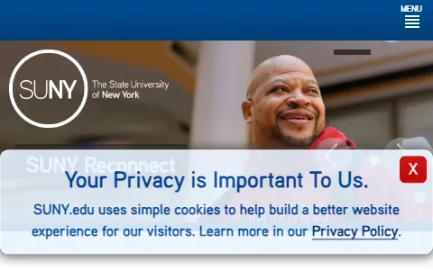 Suny status preview image