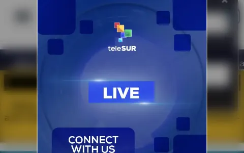 Telesurenglish.net status preview image