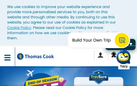 Thomas Cook India status preview image