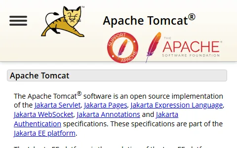 Apache Tomcat status preview image