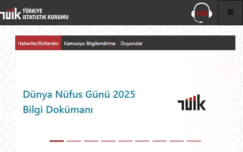 Tuik.gov.tr status preview image