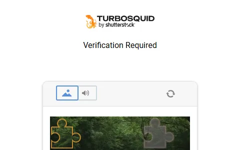 TurboSquid status preview image