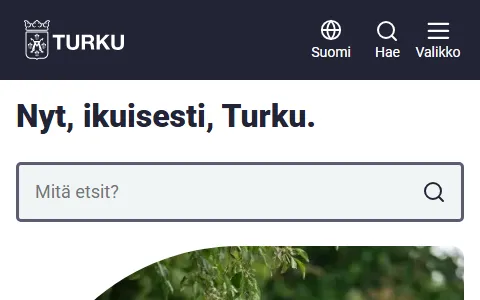 Turun Ammattiinstituutti status preview image