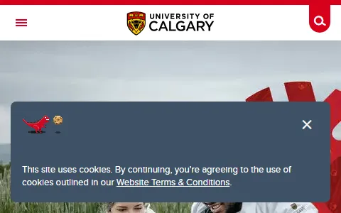 University of Calgary status preview image