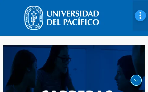Universidad del Pacífico Perú status preview image