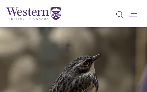 Western University Canada status preview image