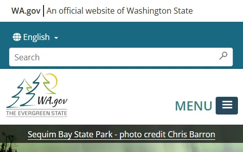 Wa.gov status preview image
