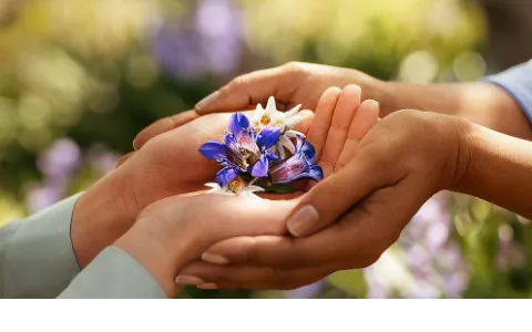 Weleda status preview image