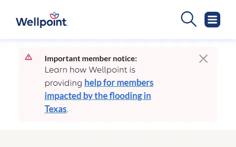 WellPoint status preview image