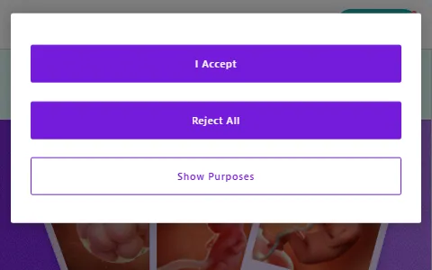 What to Expect status preview image