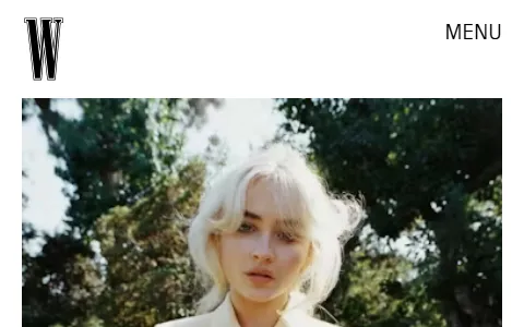 W Magazine status preview image