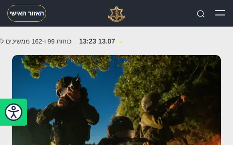 Israel Defense Forces status preview image