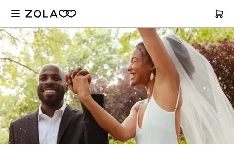 Zola status preview image